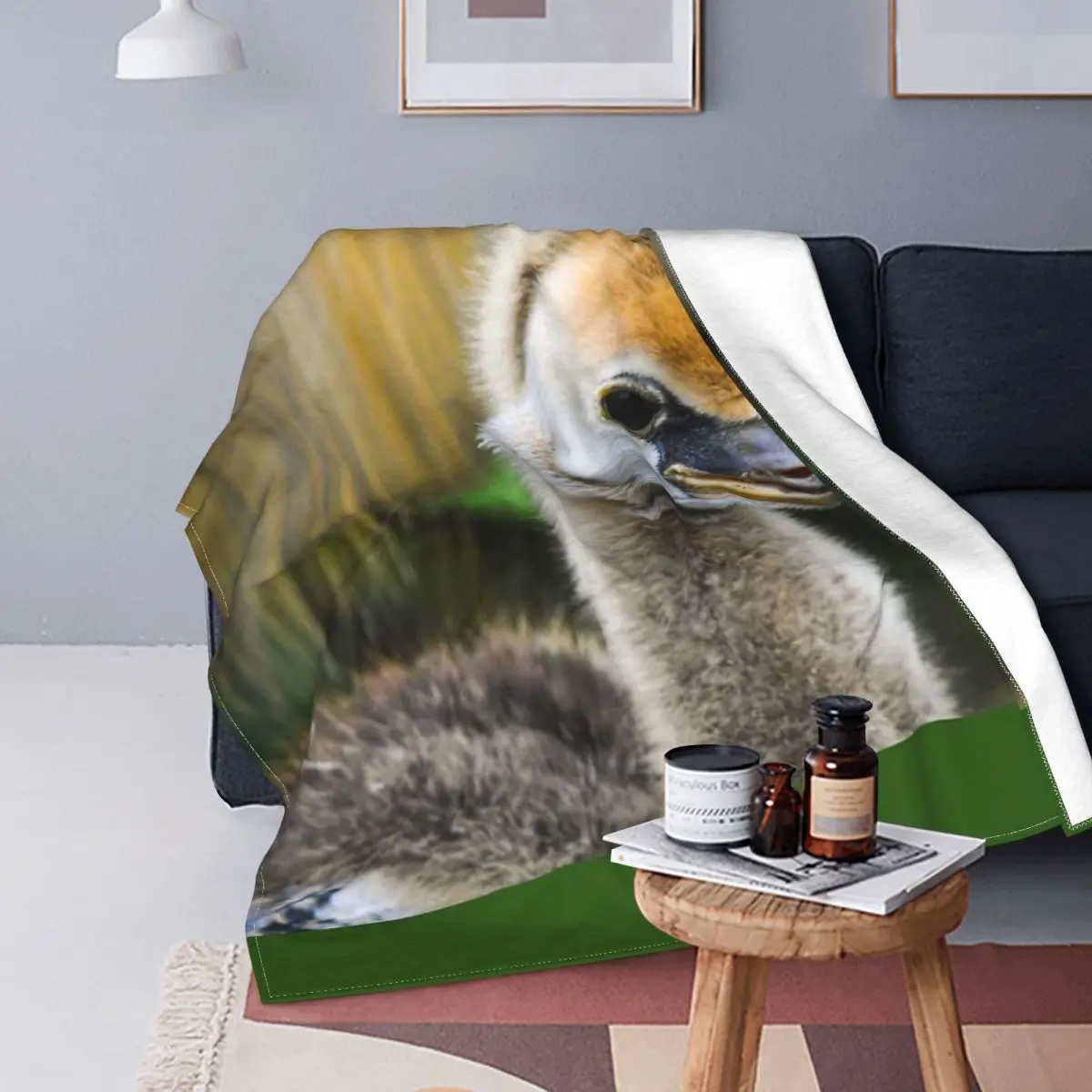 

Manta con diseño de grulla coronada en Colchester Zoo, colcha a cuadros para cama, sofá, forro polar, manta ponderada