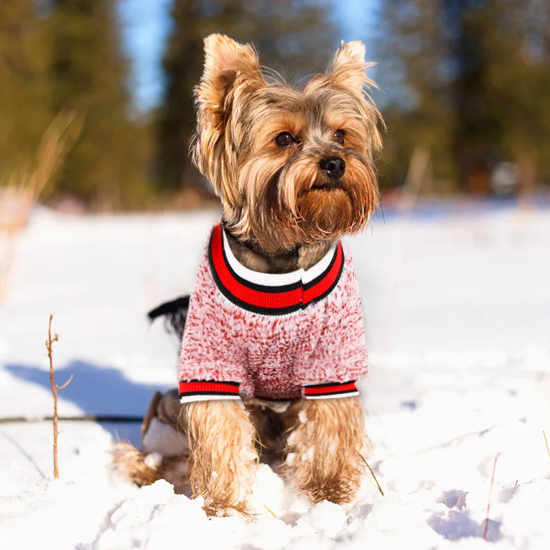 Женская зимняя флисовая одежда для щенков пальто маленьких и средних собак