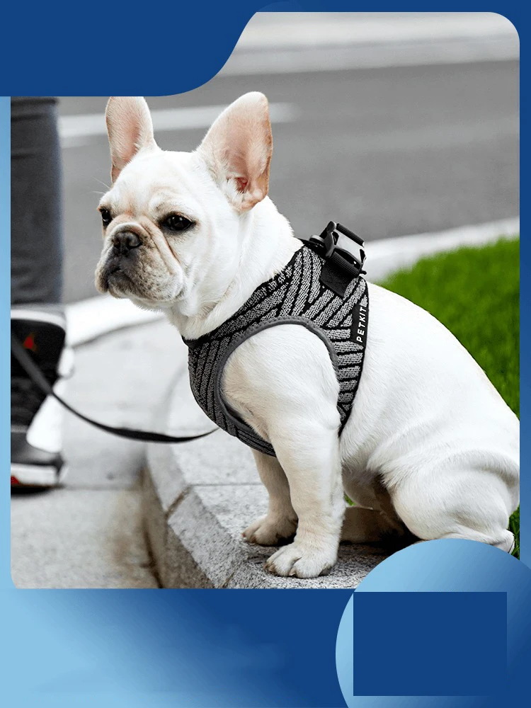 

Dog leash pet chest harness chest harness cat dog chain dog leash vest type small and medium pet supplies