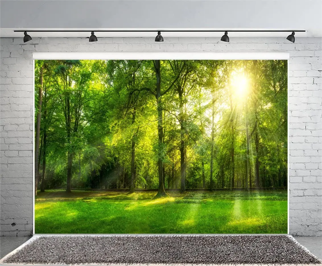 

Spring Backdrop Jungle Forest Trees Photography Backdrops For Sunshine Rays Green Grassland Nature Outdoor Photo Background