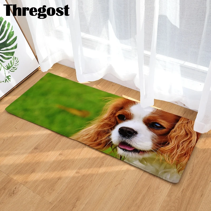 

Animal 3D Printed Floor Mat Kitchen Non Slip Floor Mats for Living Rooms Door Mats Entrance Decor Floor Rug Carpets