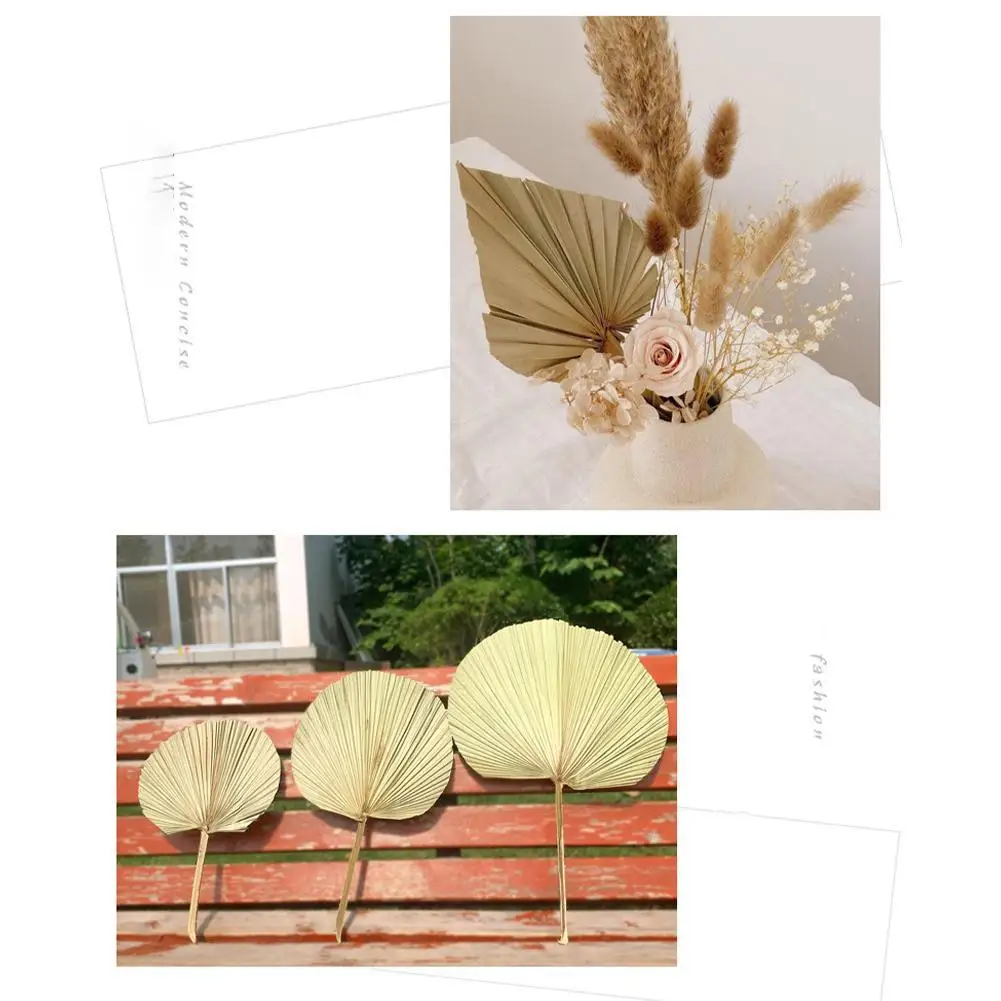 

Palm Fan Leaf Dried Flower Natural Dried Palm Leaf Fan DIY Hanging Wedding Plant Art Wall Party Decor J9K7