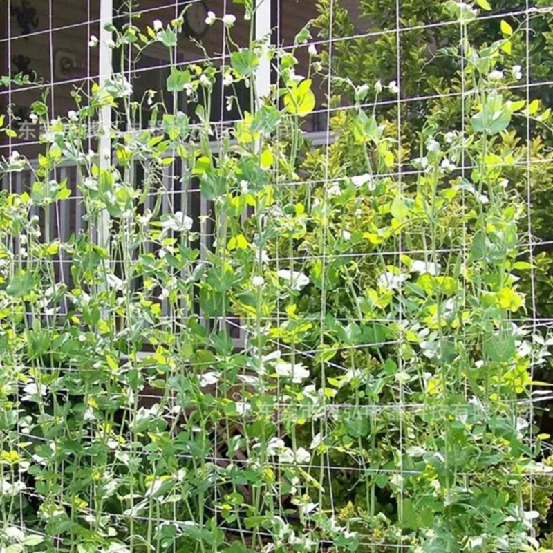 

2021 NEW Hot Sale Trellis Net for Plant Heavy-duty Polyester Plant Support Vine Climbing Hydroponics Garden Twine DCS Dropship