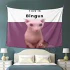 Это Bingus гобелен, настенный гобелен, животные, кошка, гобелены, одеяло, эстетический мем, гобелен, простыня для спальни, украшение для дома
