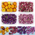 1 коробка сушеных цветов, растения, хризантемы, клей сделай сам для эпоксидной смолы, цветочное наполнение, украшения, поделки, аксессуары для изготовления ювелирных изделий