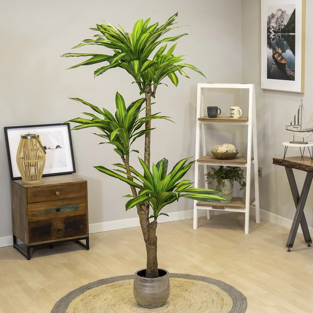 

Artificial Drachena, Made with the Best Materials, Ideal for Home Decoration