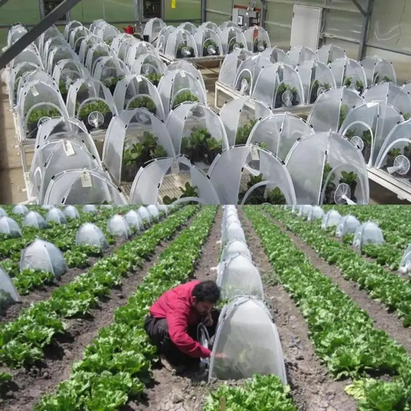 Изоляционный садовый навес для выращивания растений складной мини прозрачный