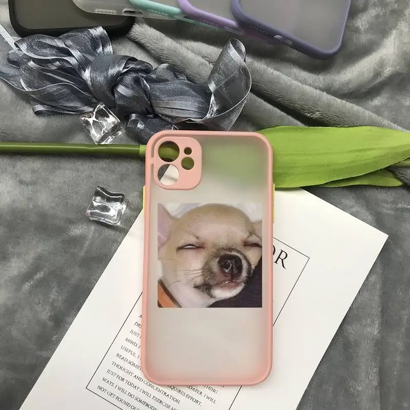 

Brand Cute Animal Cat Dog Cellphone Clear Case For Iphone 7 8 Plus X Xs Max Xr 11 12 Mini Pro Max TPU Cover