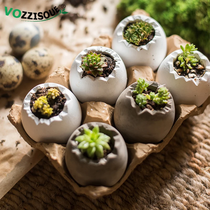 Маленькие керамические горшки для растений мини яичная скорлупа бонсай набор