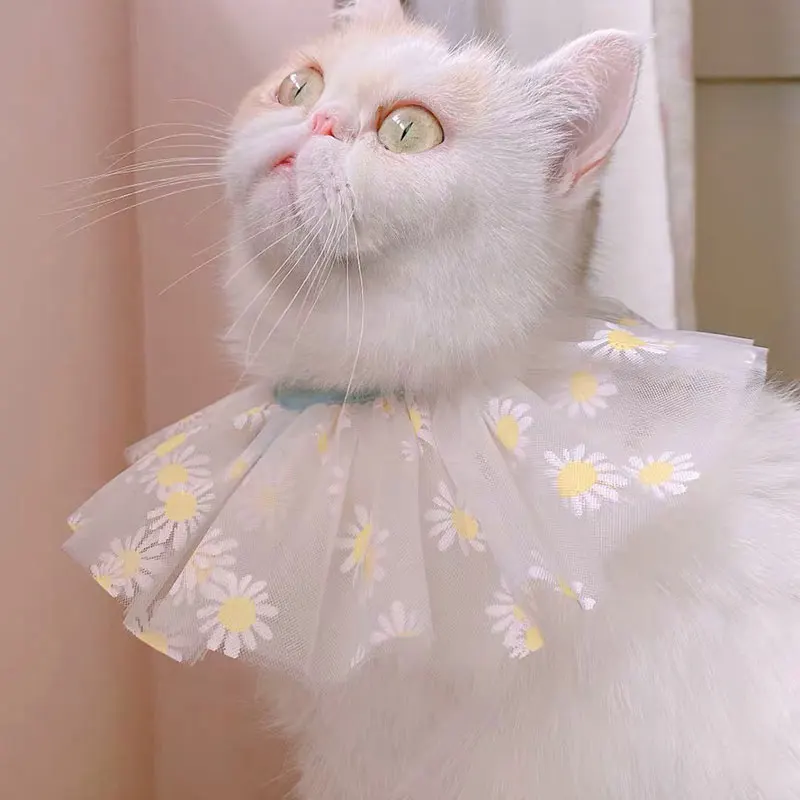 

Daisy Puppy Cat Neck Scarf Cute Pet Fairy Lace Neckerchief Dog Bowtie Lace Pet Saliva Scarf Adjustment Cute Fashion Dogs Bibs