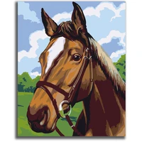 horsey horse paint by numbers colorful oil painting abstract 16x20 framed diy paint by numbers kit for adults beginners