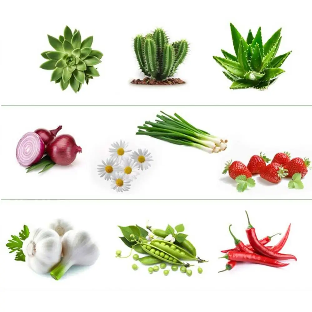 

Planting Bag Black Potato Fabric Vegetable Seedlings growing pot garden tools Gallon Eco-Friendly Grow bag