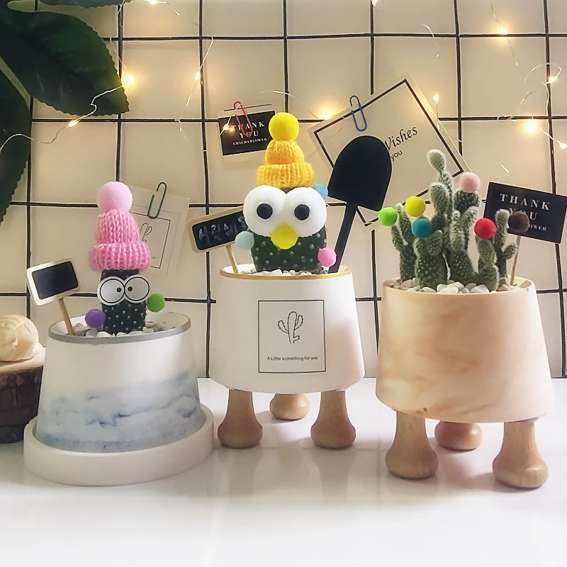 Горшок для кактуса формы плантатора форма бетона пресс цветочных горшков