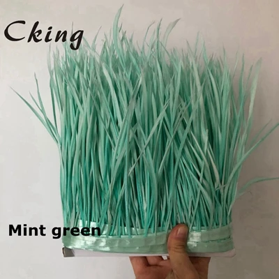 mint green Cking 10 ярдов Красный цвет натуральное гусиное перо планки 15-20 см 6-8 дюймов ширина перо для рукоделия кружевные ремни - Цвет: mint green