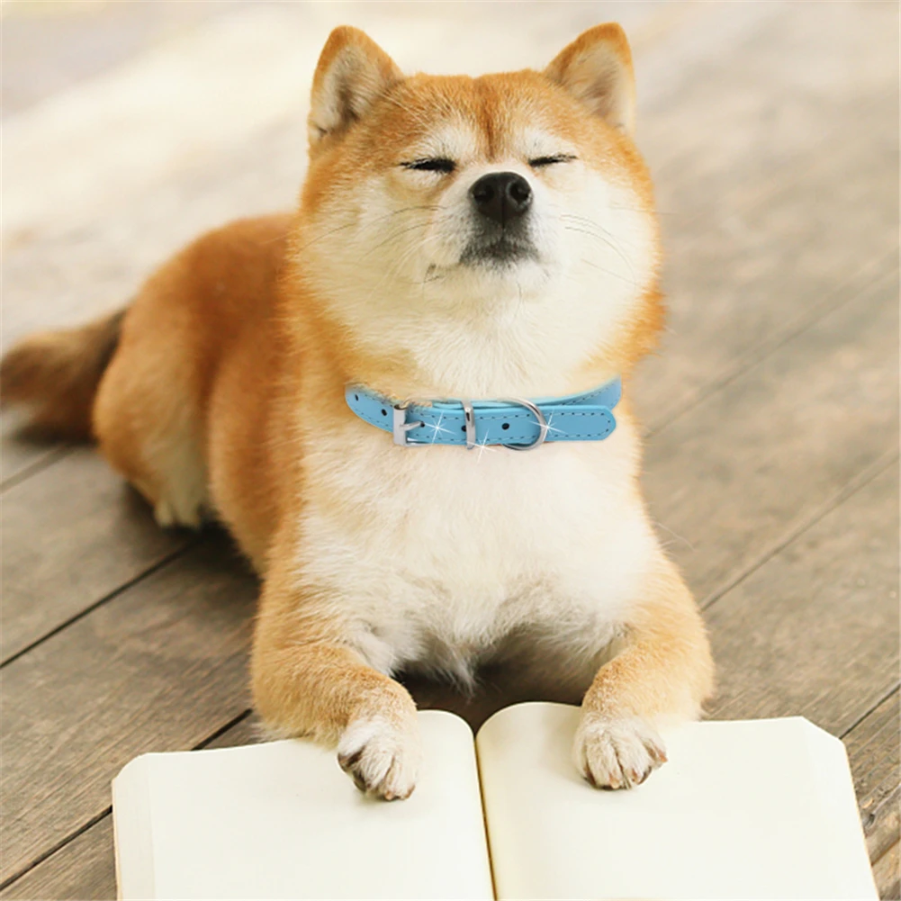 Новый сплошной цвет ПУ + цинковый сплав Материал ошейник для домашних животных