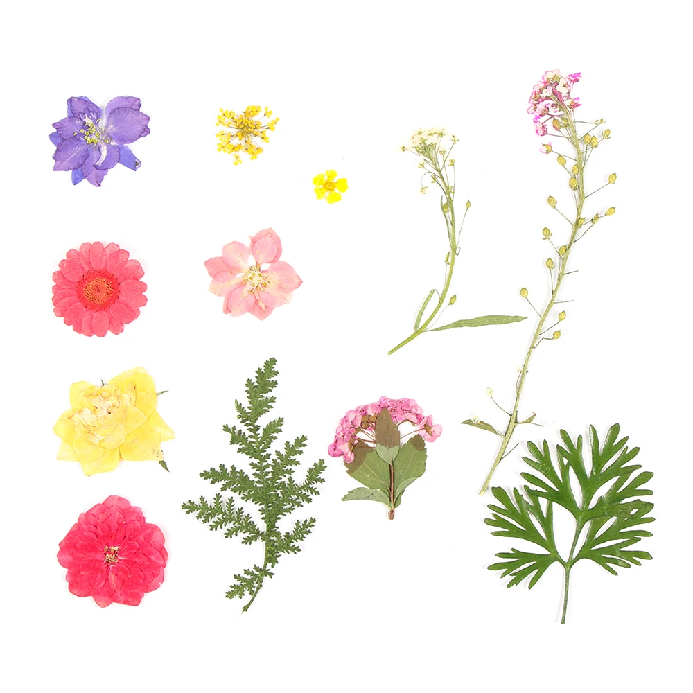 1Pack 3D Pressed Mixed Real Dried Flower DIY Floral Decors For UV Gel Nail Art Sticker Candle Making Resin Mold Filling Material - купить по