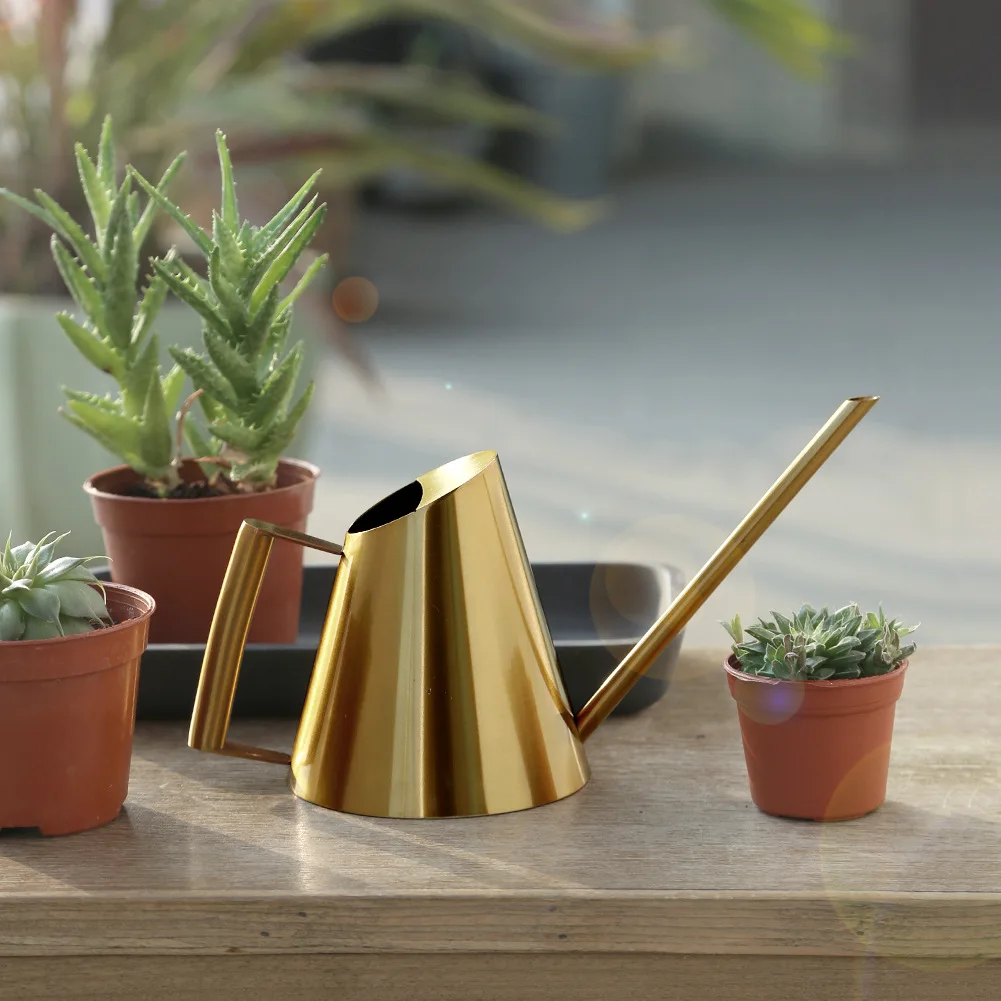 

Stainless Steel Watering Can Bonsai Indoor Plants Water Pot with Long Spout Plant Long Mouth Sprinkling Pot Garden Tool