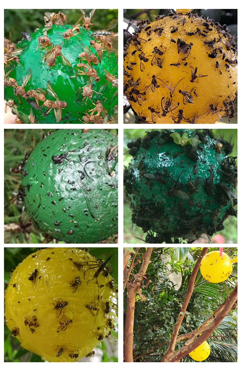 Липкая шаровая ловушка желто-зеленая для мух уничтожения больших фруктов дыни