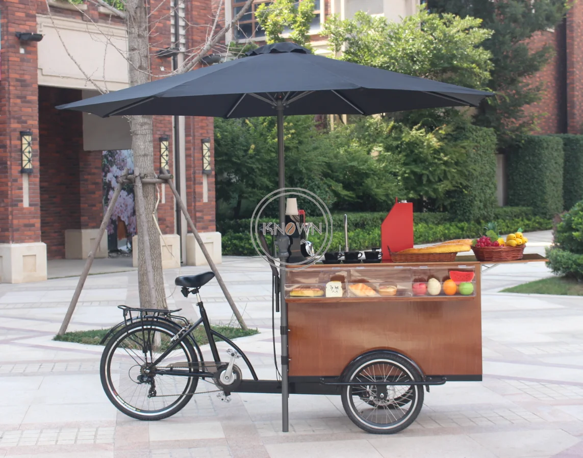 Скидка! Коммерческий трехколесный электрический велосипед семейный магазин