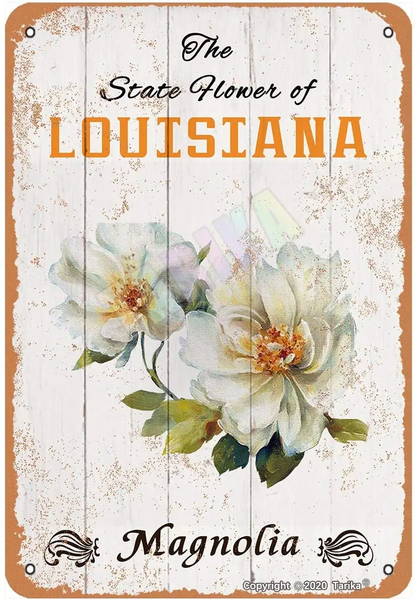 

The State Flower of Louisiana Magnolia for Room,Bedroom,Bathroom,Garden,Club,Shop,Outdoor,Farmhouse Metal Vintage