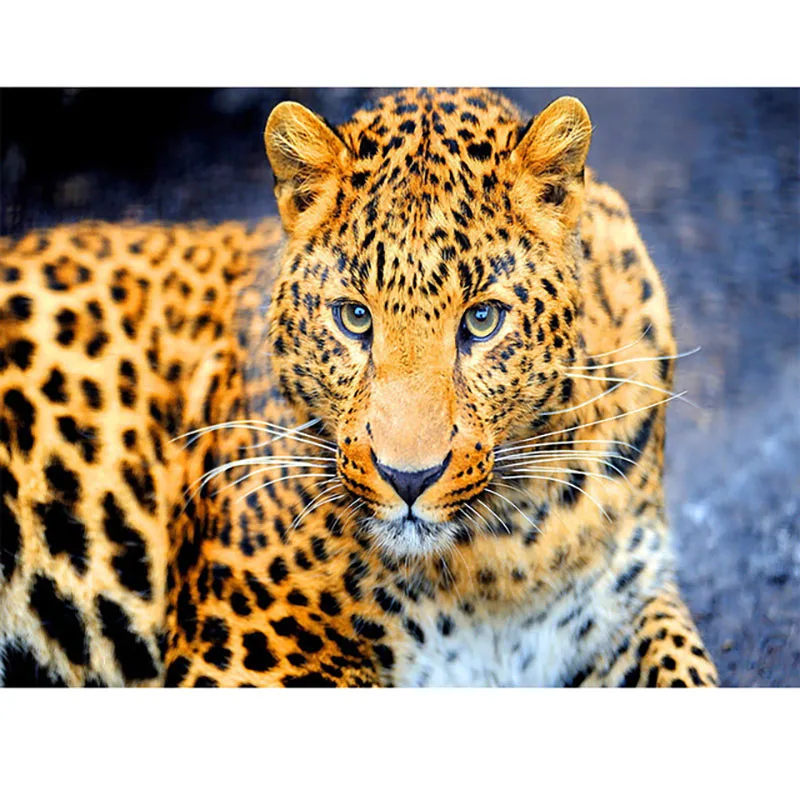 Алмазная вышивка леопард крестиком галька круглый набор для рисования|Алмазная