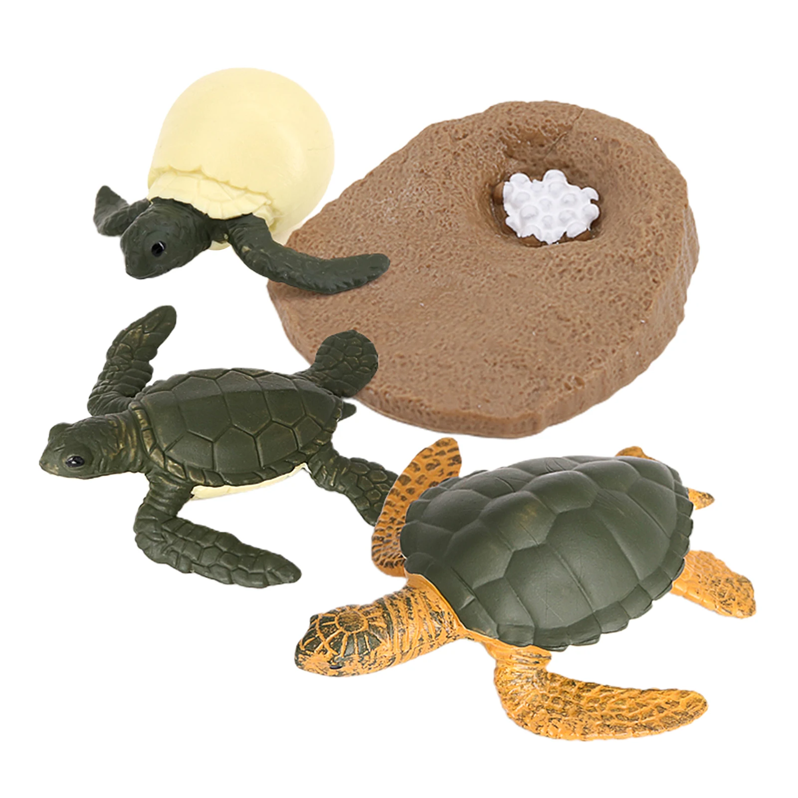 Modelo de ciclo de vida para tortuga marina, 4 etapas de crecimiento, educaci&oacute;n para ni&ntilde;os, juguetes cognitivos de Navidad-1