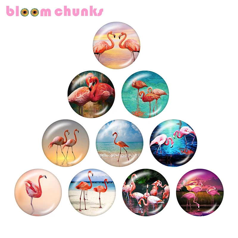 

Flamingo LOVE 10pcs mixed 12mm/18mm/20mm/25mm Round photo glass cabochon demo flat back Making findings A5363