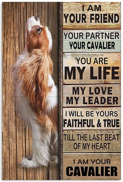 С собакой в стиле ретро Pet Meatl знак золотой ретривер бордер колли Бигль домашний