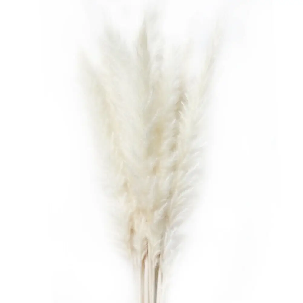 Белый 15 шт./упаковка сушеные небольшие пампасы трава Phragmites украшения для дома, отеля, свадьбы FPing - Цвет: Белый
