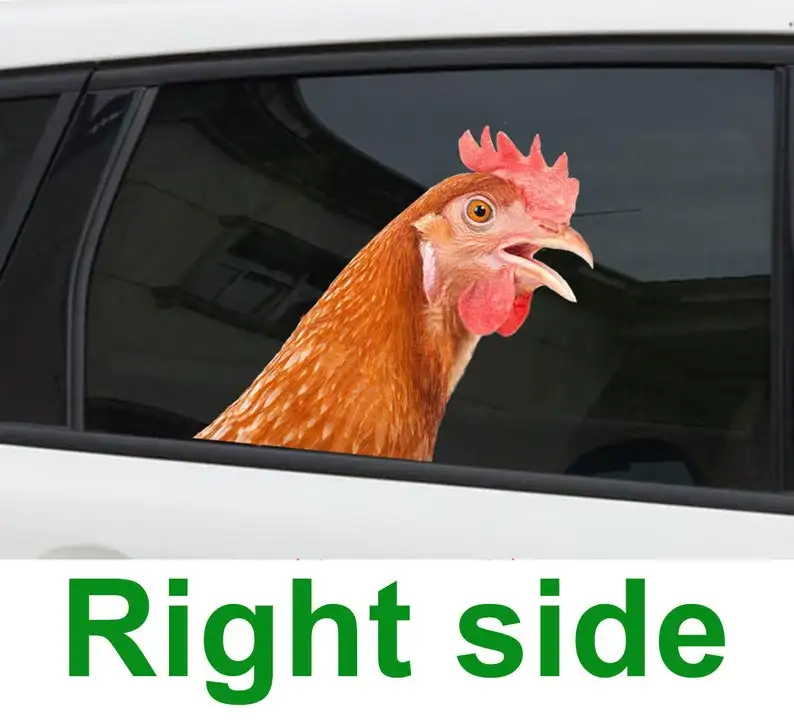 

2021 Red chicken window sticker, car sticker, red chicken car decal, funny sticker