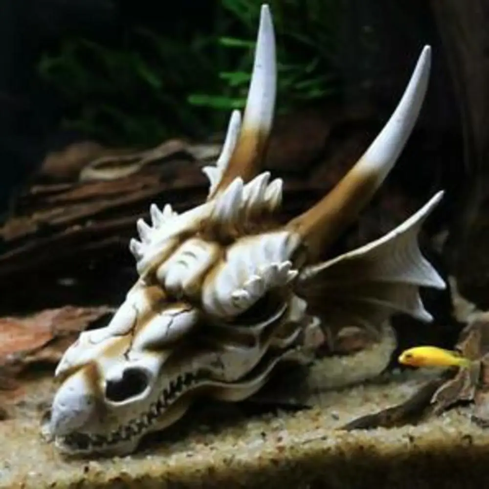 

Resin Triceratops Skull Dinosaur Skeleton Model Tabletop Aquarium Fish Tank simulation Dinosaur skull decorative ornaments