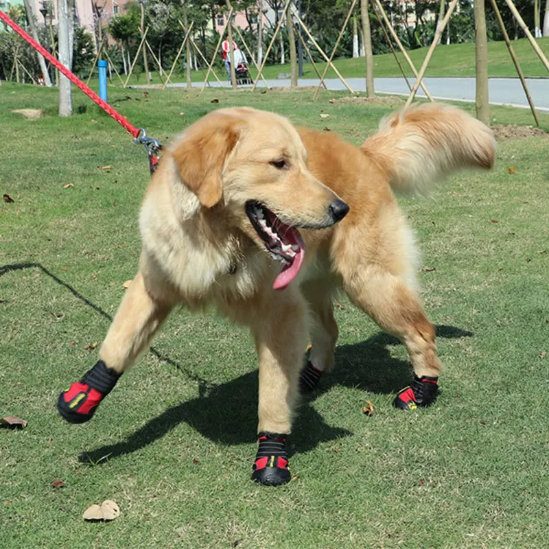 [PEITAARR] Товары для домашних животных обувь непромокаемые сапоги комплект