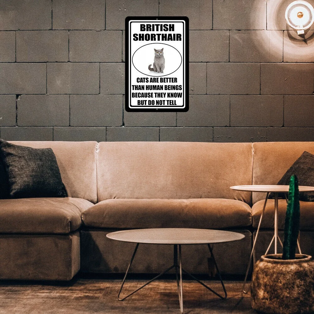 

British Shorthair Cats Are Better Than Human Beings Metal Tin Sign Novelty Gifts