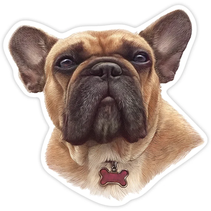 

S40205# French Brown Bulldog Various Sizes PVC Decal Car Sticker Waterproof on Bumper Rear Window Laptop Refrigerator Toilet