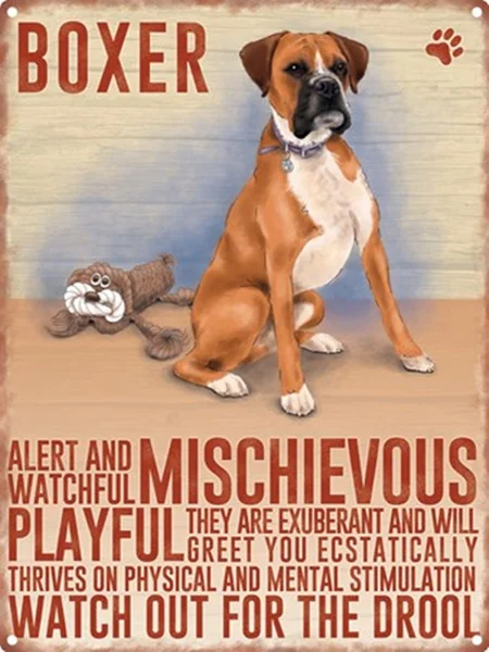 

Boxer Dog Tin Sign art wall decoration,vintage aluminum retro metal sign,iron painting vintage decoration sign