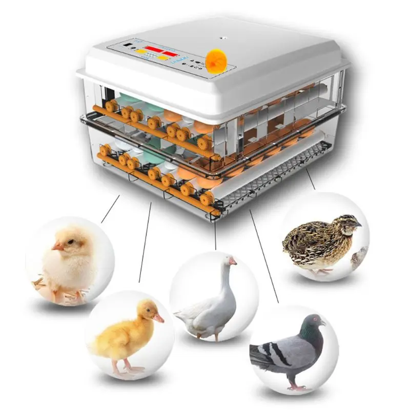 220V Eggs Incubator Brooder Automatic Farm Incubation Tools Bird Quail Chick Hatchery Poultry Hatcher Turner