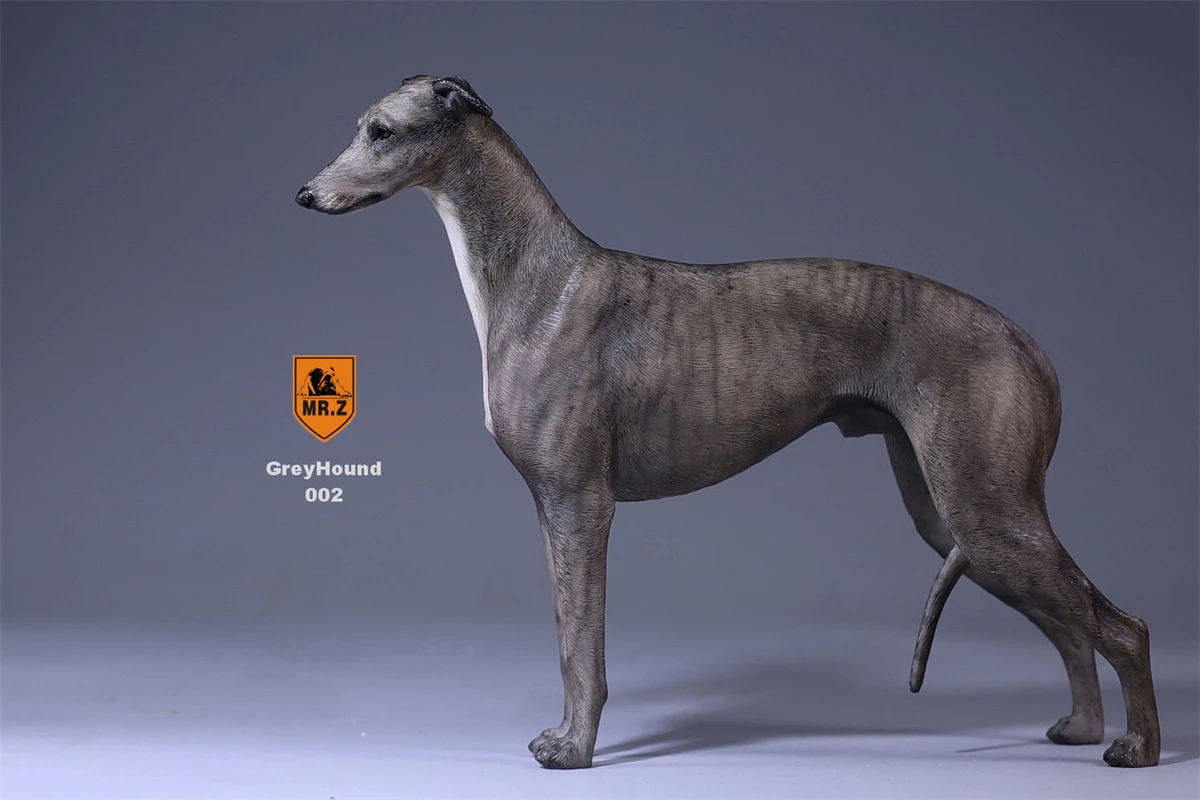 Mr.z 1/6 Greyhound Whippet Pet Dog Figure Animal Model Trinkets Desktop Decor Ornaments Toy for Children Adult Kids GK Xmas Gift |