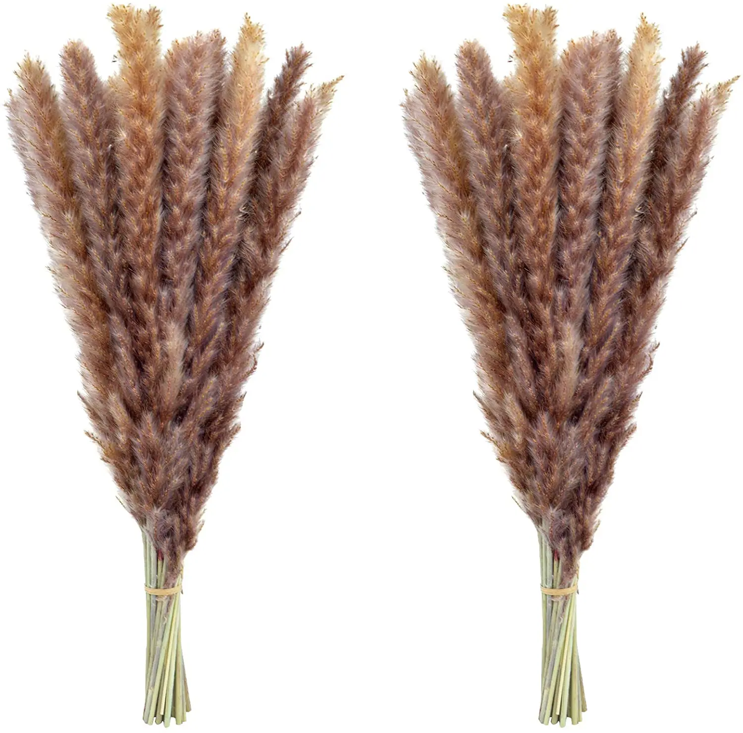 

30pcs Reeds Natural Dekoration Dried Pampas Grass Dry Flowers Phragmites Bunch Communis Wedding Decoration Trawa Pampasowa