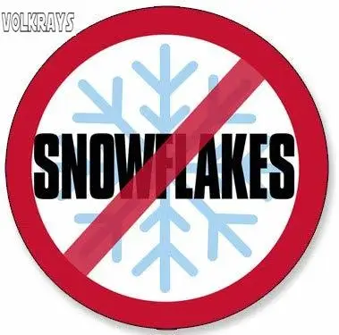 Виниловая наклейка Volkrays модная на автомобиль без снежинок 12 см х | Автомобили и