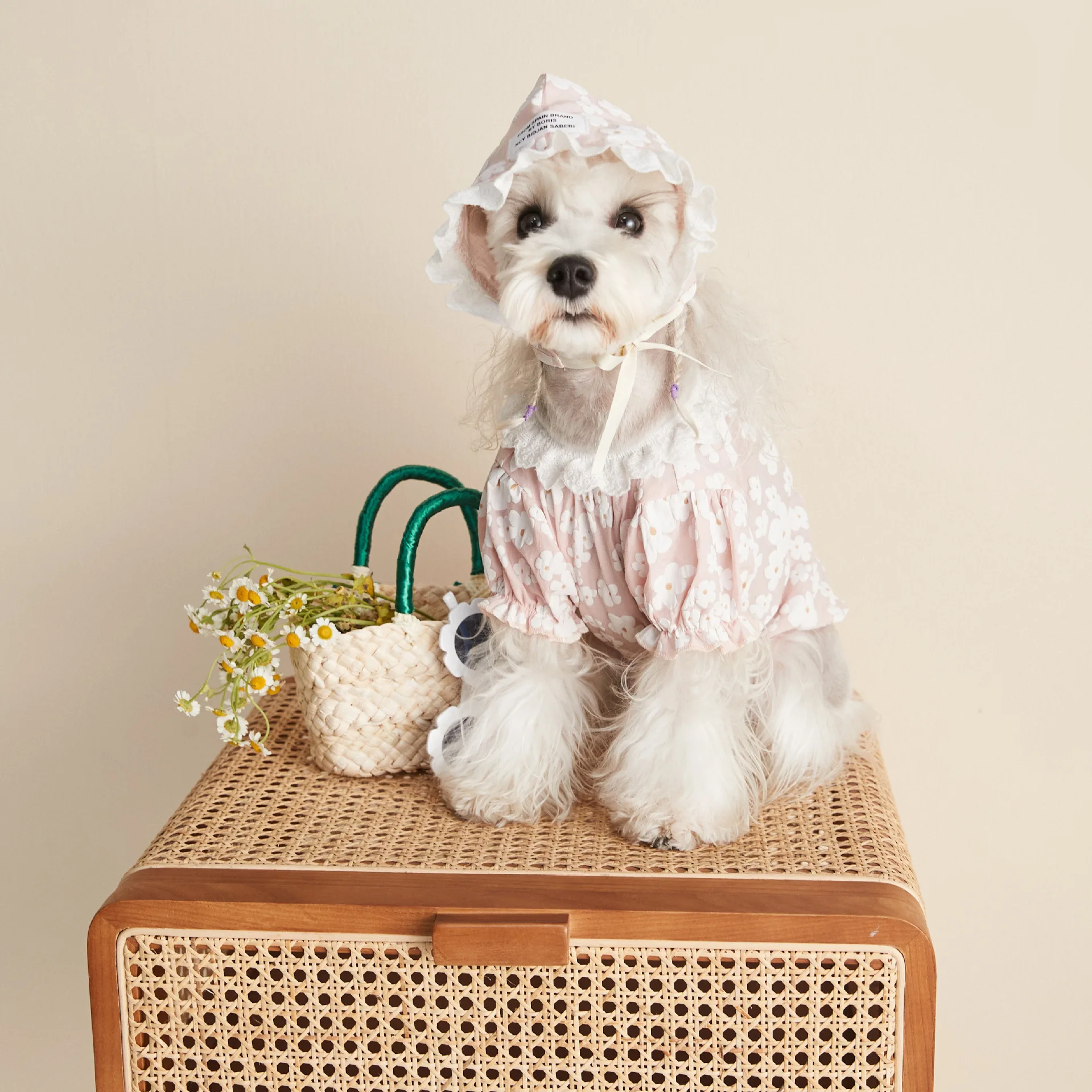 2021 новая модная одежда для собак весна-лето кружевная Цветочная рубашка шнауцер