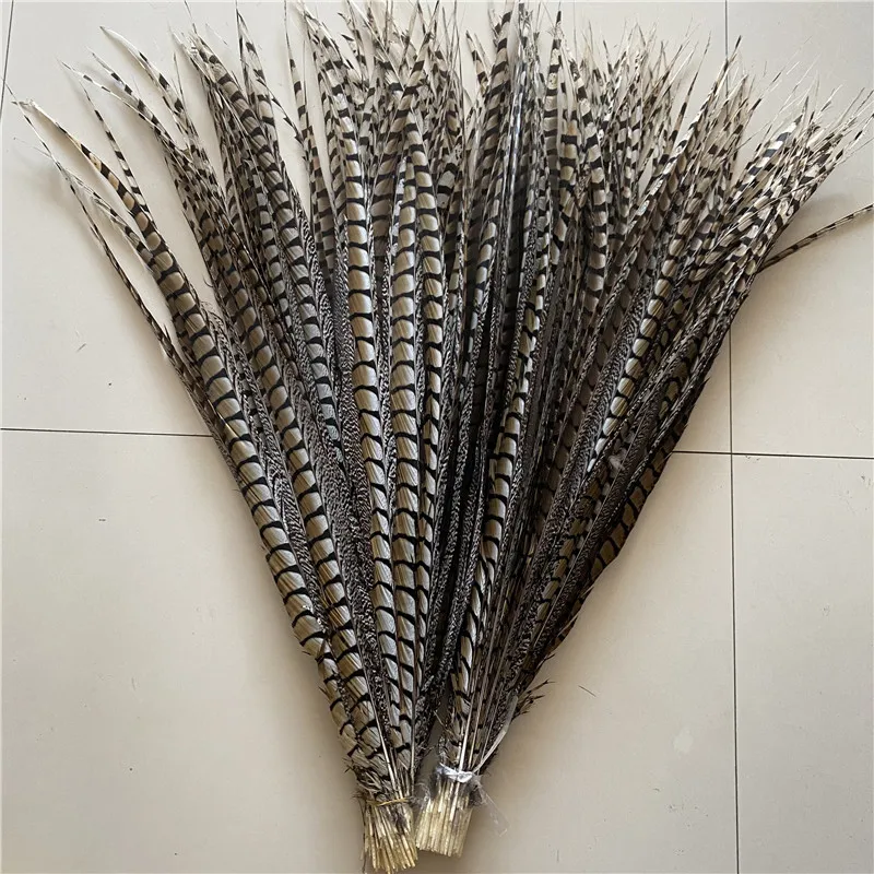 

20pcs/lot Natural Ringneck Pheasant Tail Feathers 90-100cm/36-40inches Plumas Plumes Accessories Carnival Crafts Decor