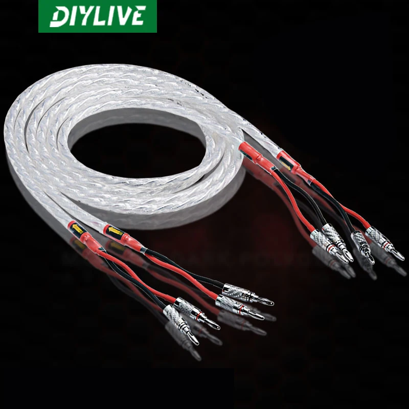 

A pair of DIYLIVE HIFI silver-plated speaker cables for sound systems high-end 6N OCC speaker cab0lesï¼ˆ1.5m~3.5mï¼‰