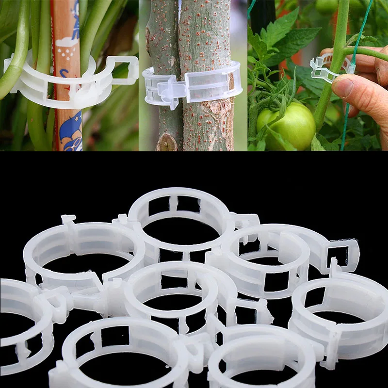 

50/100/200pcs Tomato Clips Garden Hanging Vine Clamps Greenhouse Vegetables Plastic Plant Support Clips Connects Plants 30mm