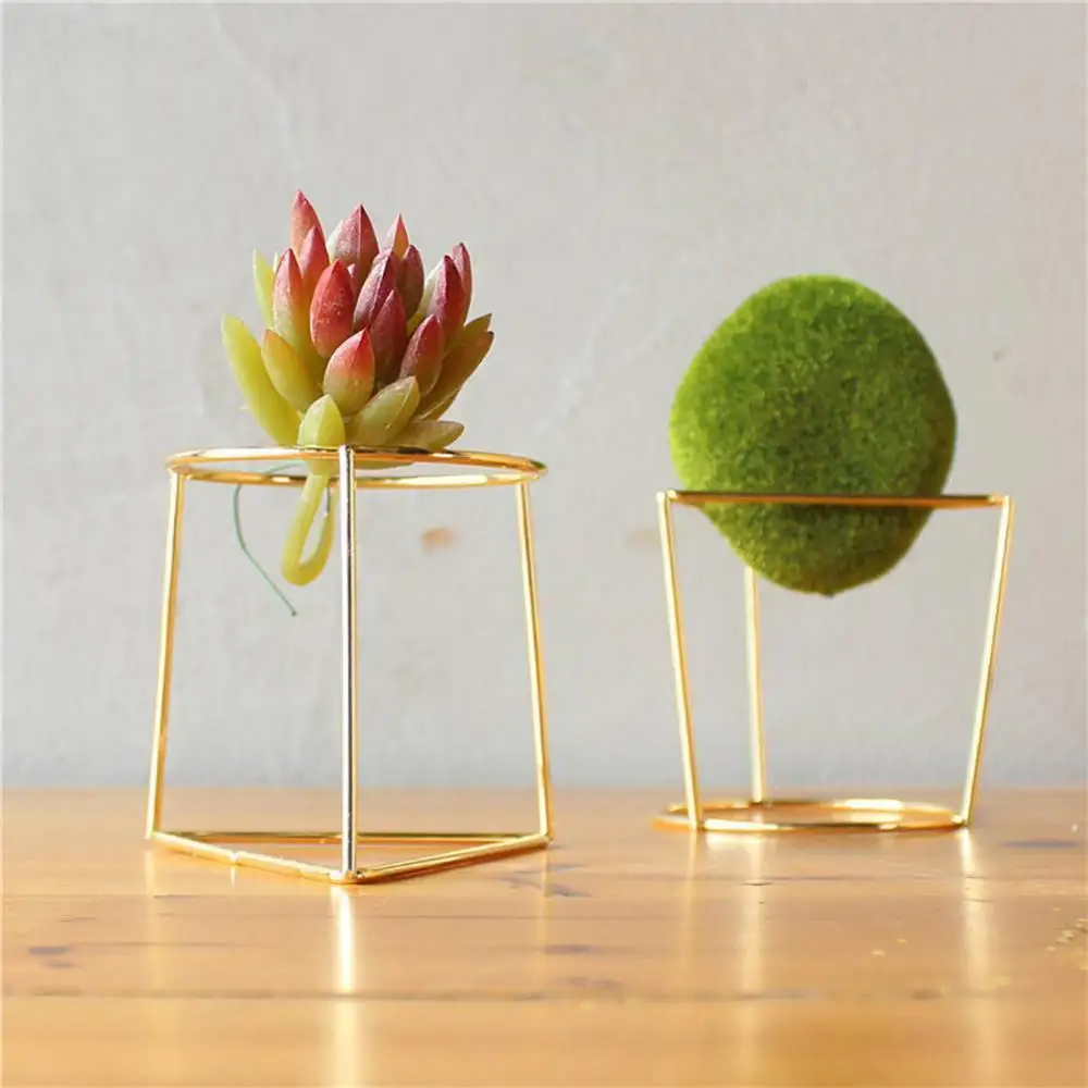 Цветочный горшок Геометрическая металлическая рамка для ухода за растениями