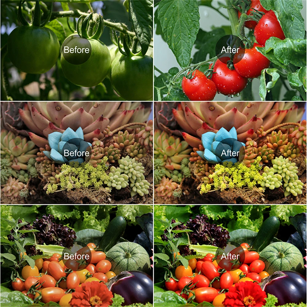 

LED Grow Light Full Spectrum Plant Lights Lamp 35W 65W Indoor Fitolampy Grow Lamp for Plants Flowers Seeding Growing Greenhouse