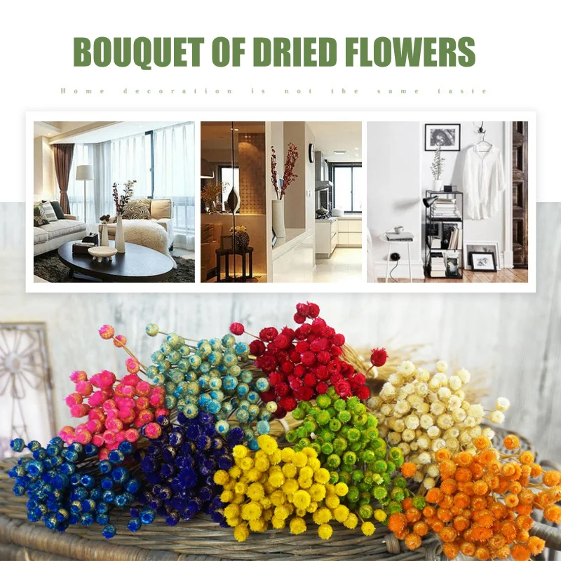 

Eternal Flower 50 Stems Dried Flowers Home Decor For Arrangements Bundle Photo Props Handmade Air-drying Flores Artificiales