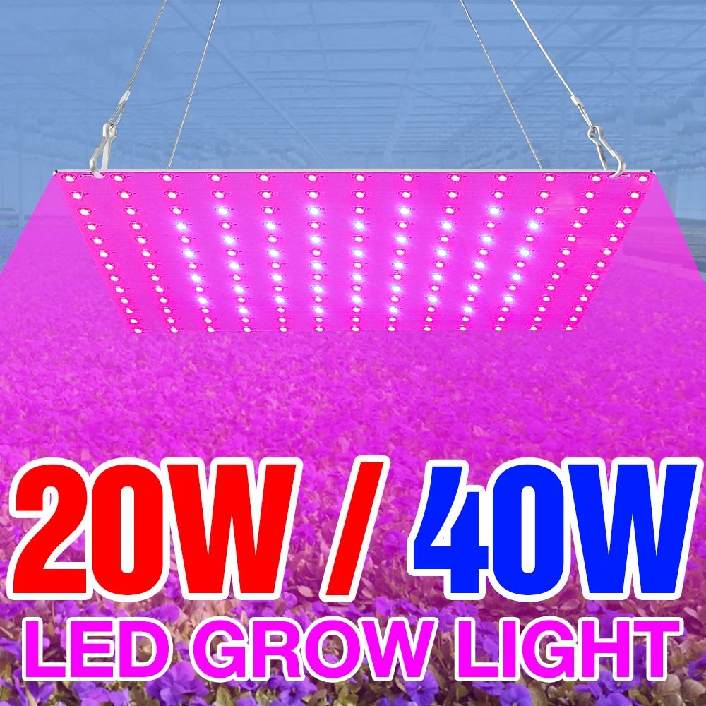 

US EU UK Plug Phytolamps LED Full Spectrum Grow Lighting 220V Plant Light Quantum Board 20W 40W Fitolampy Hydroponic Growth Tent