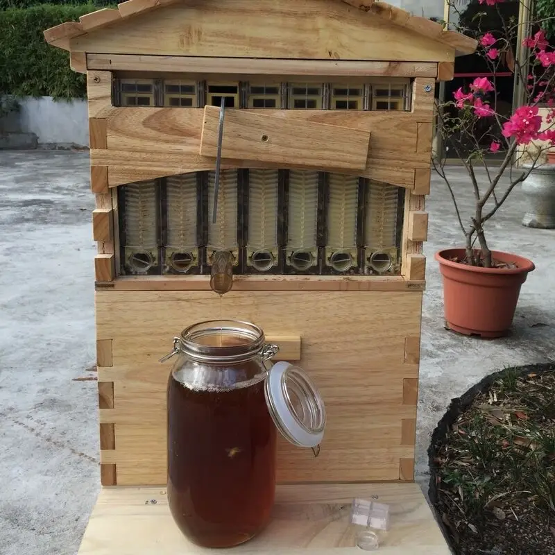 

Wooden Bee Box Automatic House Bee Wooden Box with 7pcs Frames Honey Collection Beekeeping Equipment Beekeeper Tool Supplies