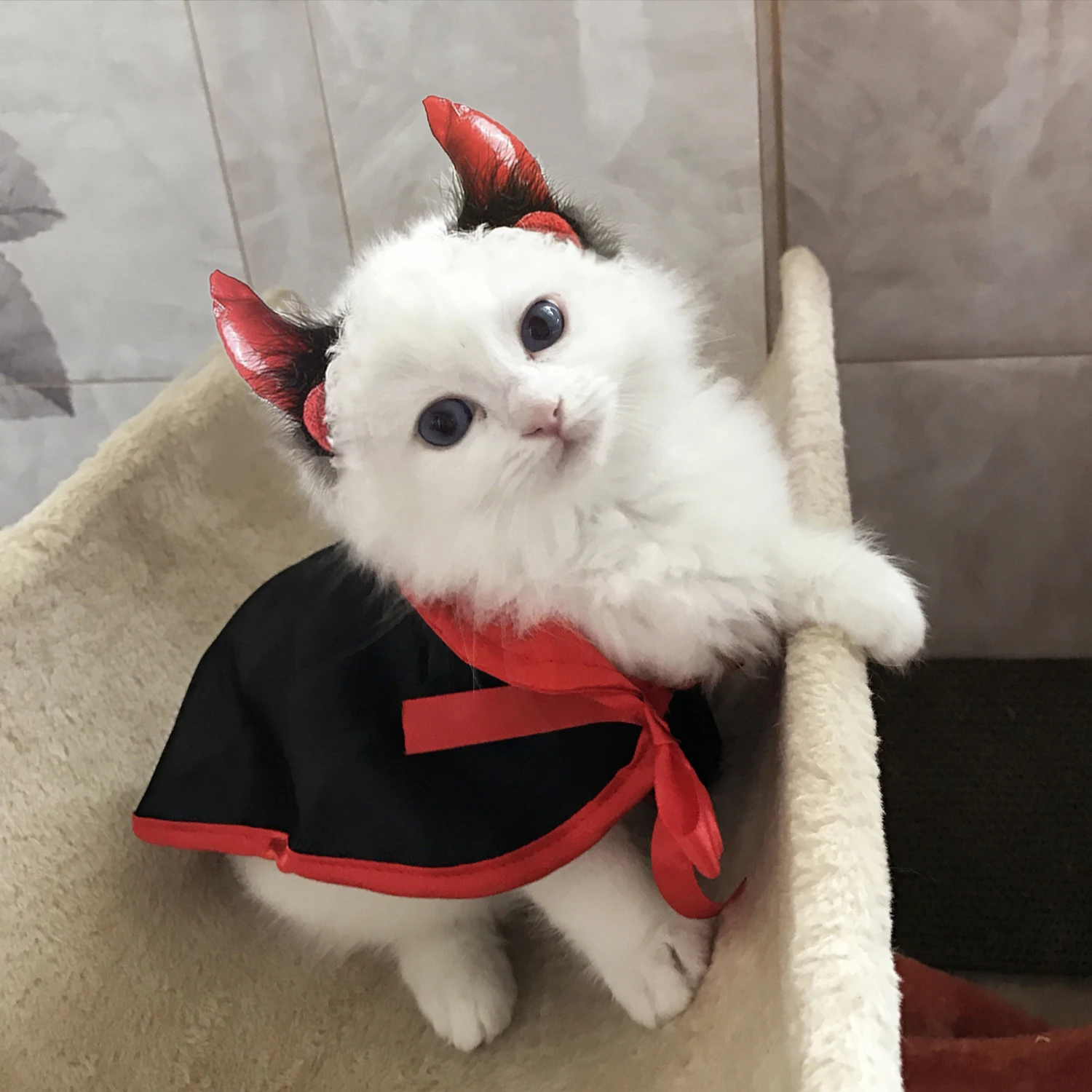 Модный комплект костюмов для домашних животных на Хэллоуин, милый Плащ Вампира, головной убор для собак с рогами для косплея, аксессуары для одежды для домашних животных