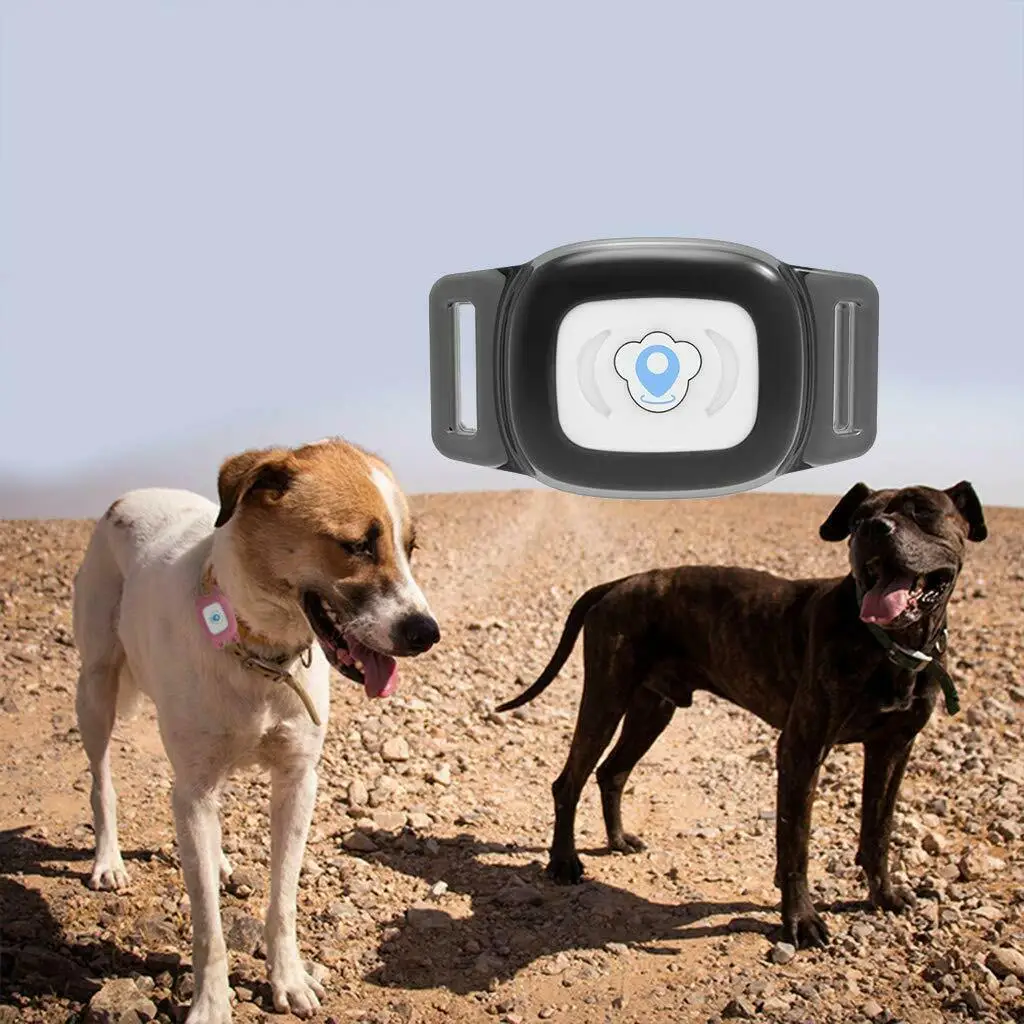 Gps ошейник для собак водонепроницаемый IP67 перезаряжаемый электрический ошейник для собак gps LBS SMS позиционирование гео-забор воротник отслеживание воспроизведения